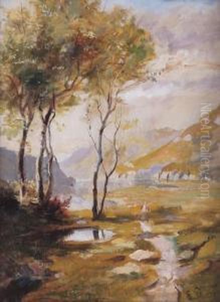 Paesaggio Oil Painting by Emilio Borsa