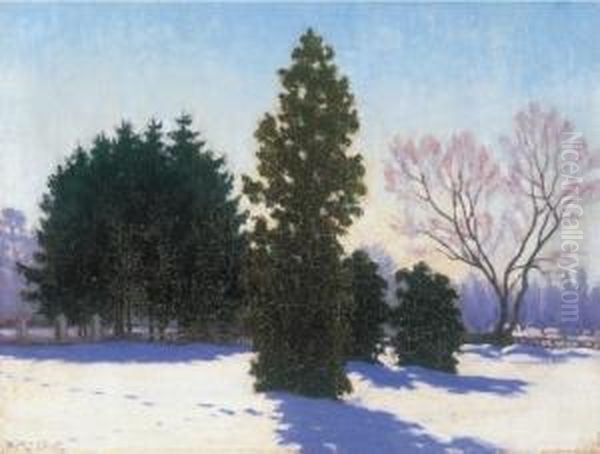 Park In Winter Oil Painting by Samu Bortsok