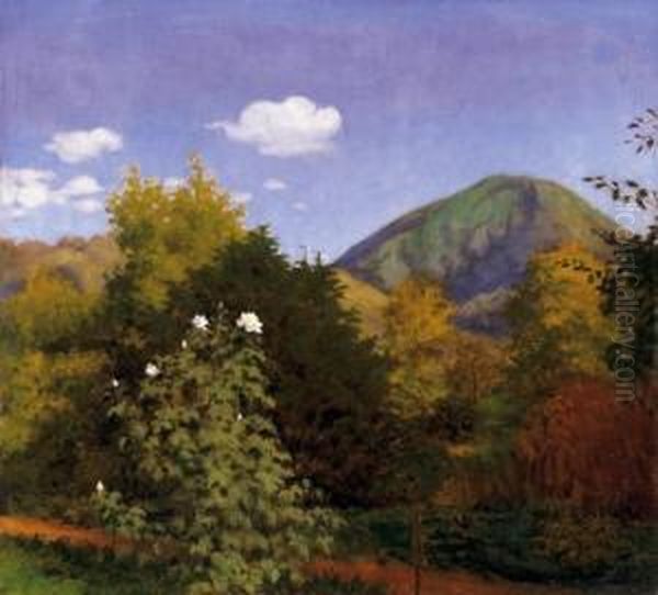 Landscape Of Nagybanya With The Kereszthegy Oil Painting by Samu Bortsok