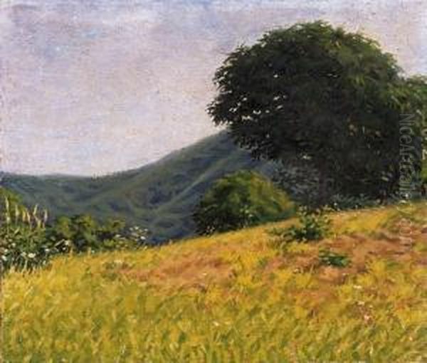 Ridge Of A Hill Oil Painting by Samu Bortsok