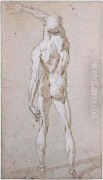 Male Nude Seen From Behind Oil Painting by Andrea Boscoli