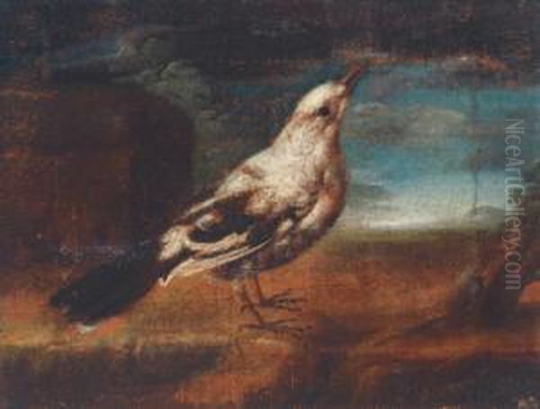 Zwei Vogel Oil Painting by Felice Boselli Piacenza