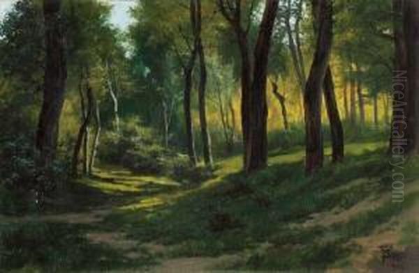 Sottobosco Oil Painting by Francesco Bosso