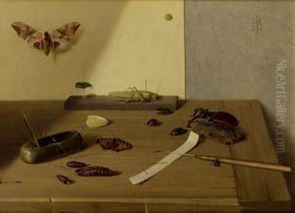 Insekten Und Larven Oil Painting by Herbert Bottger