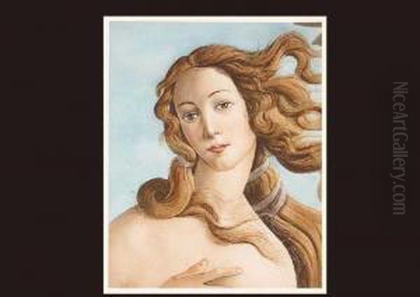 Birth Of Venus Oil Painting by Sandro Botticelli