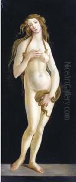 Venus Oil Painting by Sandro Botticelli