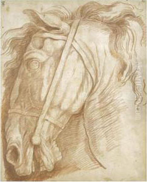 Study Of The Head Of A Horse Oil Painting by Edme Bouchardon