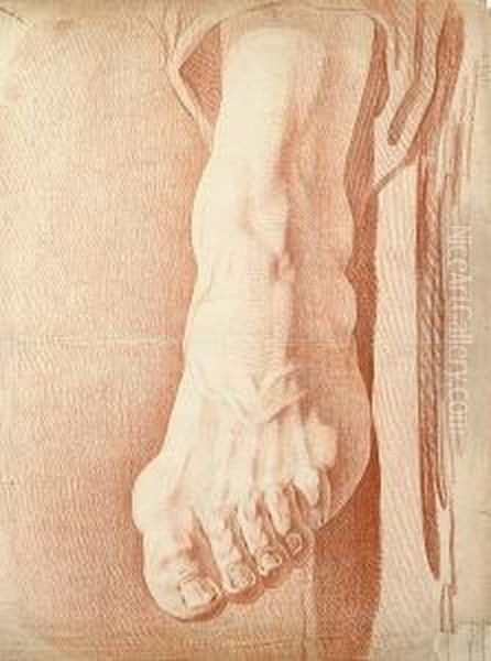 A Study Of A Foot And Ankle Oil Painting by Edme Bouchardon