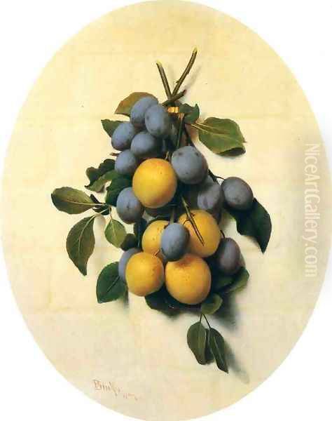 Plums Oil Painting by Samuel Brooks