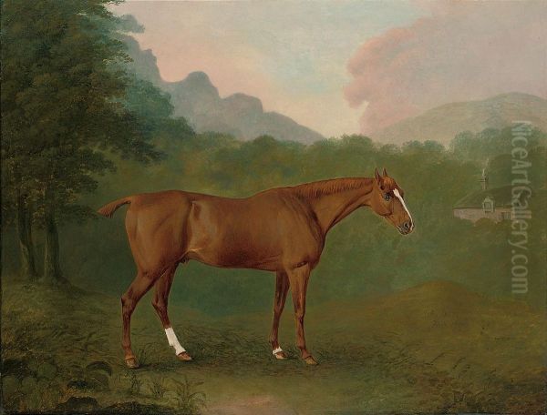 A Chestnut Hunter In A Wooded Landscape Oil Painting by John Boultbee