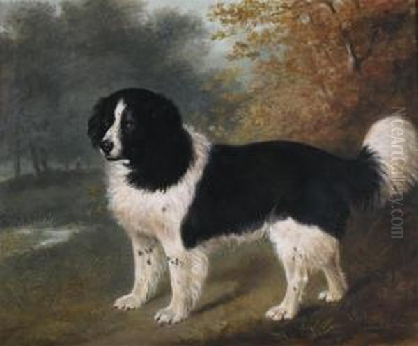 A Favourite Newfoundland Dog In A Landscape, The Property Of Samuel Skurray Day Oil Painting by John Boultbee