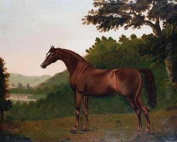 Portrait Of A Chestnut Hunter Oil Painting by John Boultbee