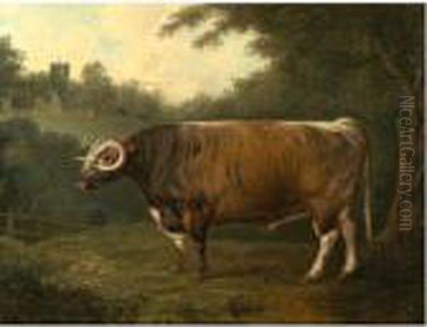 A Longhorn Bull Belonging To Thomas Princep In Front Of Croxall Church Oil Painting by John Boultbee