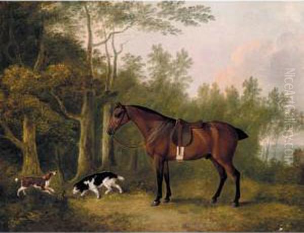 A Bay Hunter And Two Spaniels In A Landscape Oil Painting by John Boultbee