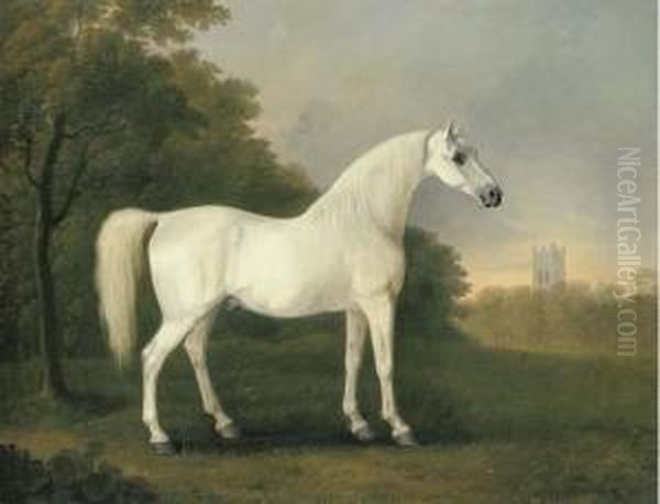 Mambrino, A Grey Stallion In A Wooded Landscape Oil Painting by John Boultbee