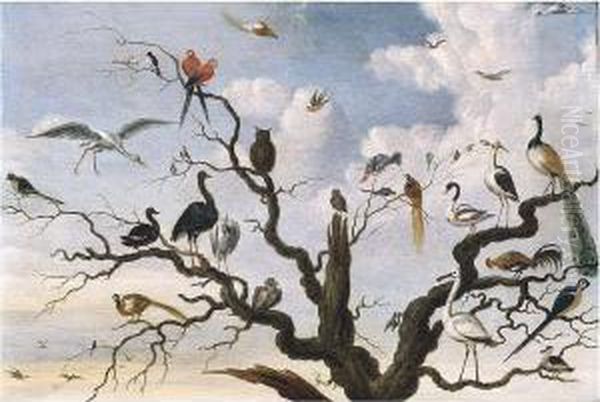 A Pheasant, A Peacock And Other Birds In A Tree Oil Painting by Jacob Bouttats