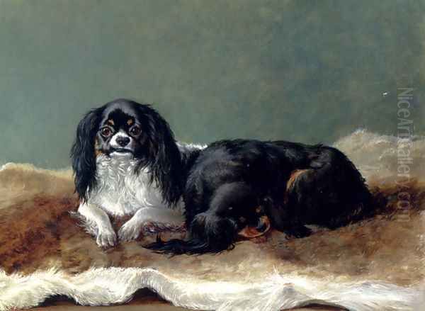 Two Kings Charles Spaniels Oil Painting by Ashburnham H. Bulley