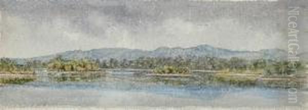 Tamar, Neargeorgetown Oil Painting by Emma Minnie Boyd