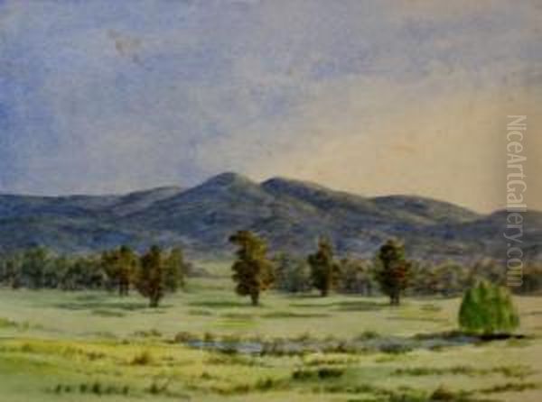 Pond And Pasture Oil Painting by Emma Minnie Boyd