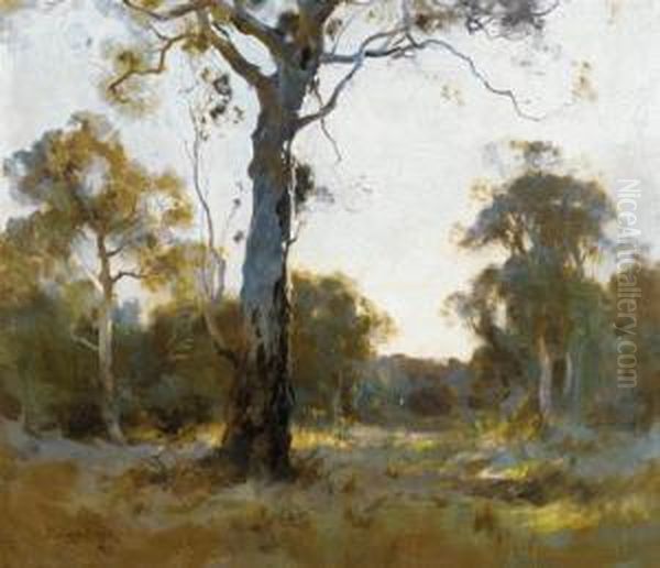 The White Gum Oil Painting by Theodore Penleigh Boyd