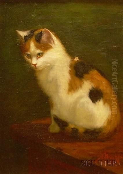 Calico Cat Oil Painting by Sydney Lawrence Brackett