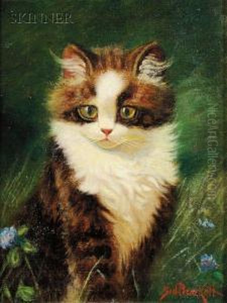 Kitten Oil Painting by Sydney Lawrence Brackett