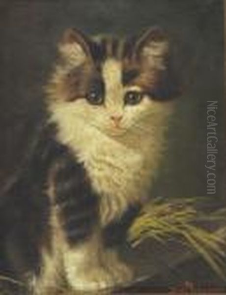 Portrait Of A Kitten. Oil Painting by Sydney Lawrence Brackett