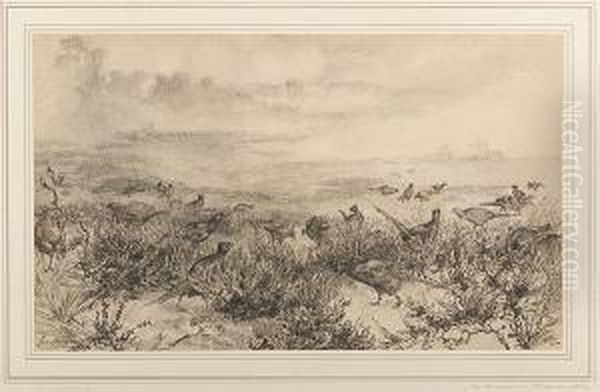 Pheasants Feeding, Study For The Etching Oil Painting by Felix Bracquemond