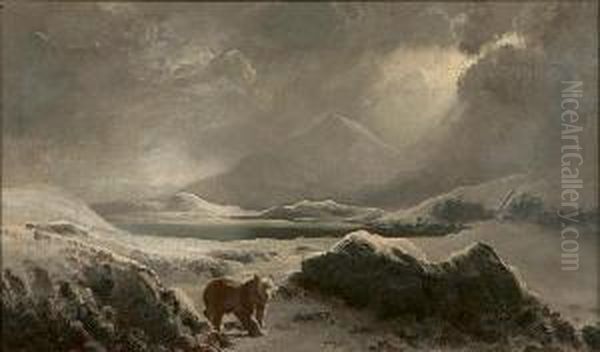 A Polar Bear In The Arctic Oil Painting by William Bradford