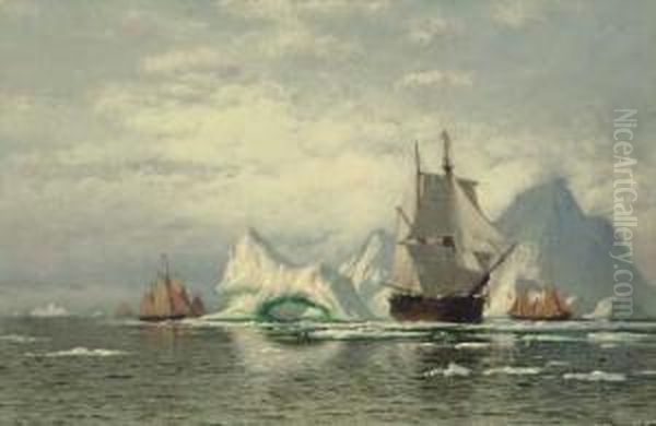 Arctic Whaler Homeward Bound Among The Icebergs Oil Painting by William Bradford