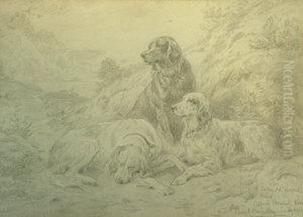 Study Of Three Setters In A Landscape Oil Painting by Basil Bradley