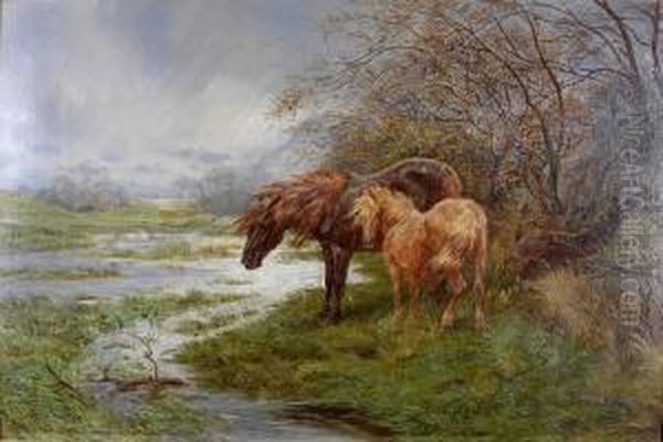 Wind And Rain - The Vale Of Conway Oil Painting by Basil Bradley