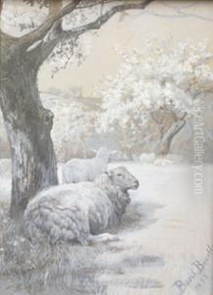 Sheep Resting Beneath Trees Oil Painting by Basil Bradley