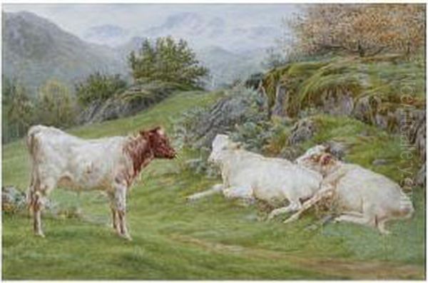 Cattle On A Hillside Oil Painting by Basil Bradley