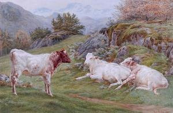 Calves On A Hillside Oil Painting by Basil Bradley