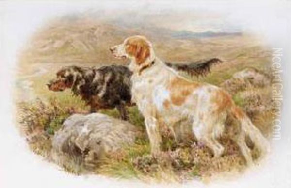 Collies In The Highlands; Setters Oil Painting by Basil Bradley