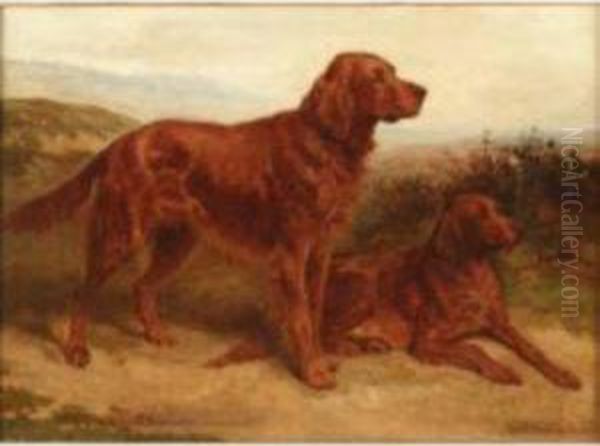 Irish Setters 'tyrone & Geraldine' (champions) In Alandscape Oil Painting by Basil Bradley