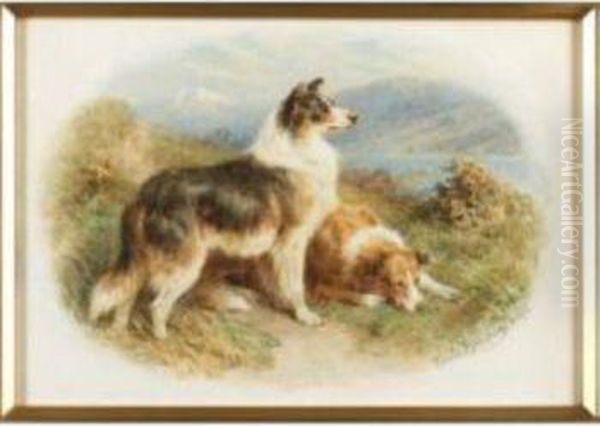 Setters; Scotch Collies Oil Painting by Basil Bradley