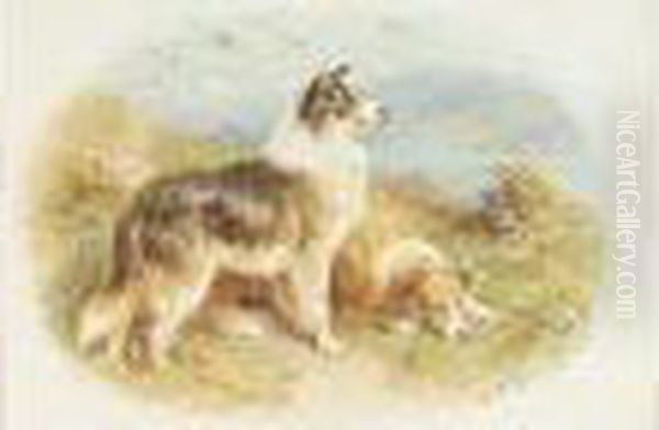 Setters; Scottish Collies Oil Painting by Basil Bradley