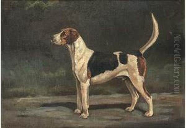 Croome Ruffian, A Hound Oil Painting by Cuthbert Bradley