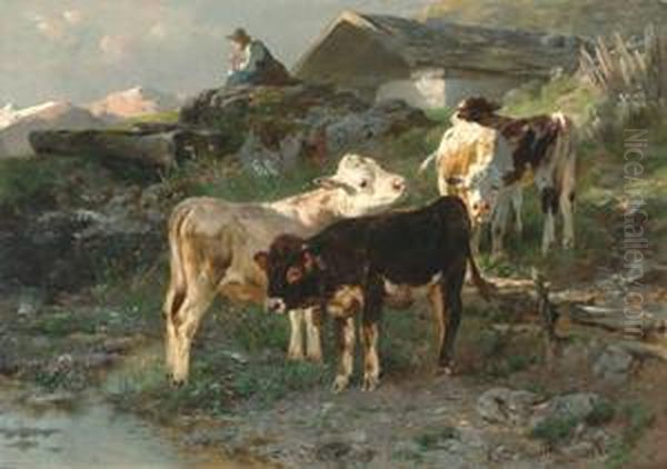 Calves By A Stream In Sunlight Oil Painting by Anton Braith