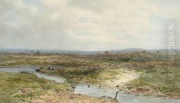 On Wareham Marshes, Dorset Oil Painting by Charles Branwhite