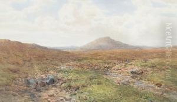 A View Of Dartmoor Oil Painting by Charles Branwhite