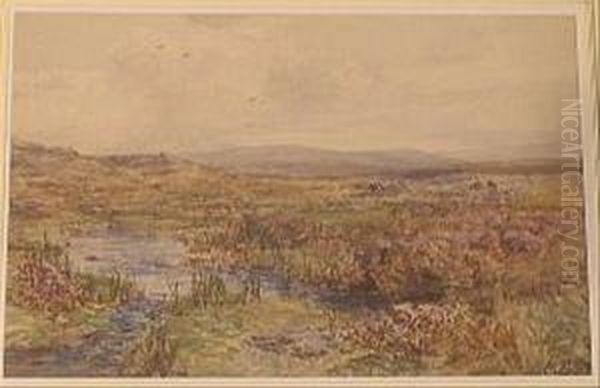 On Themoors Near Belstone Oil Painting by Charles Branwhite