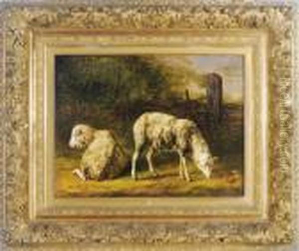 Sheep Grazing In A Landscape Oil Painting by Jacques Raymond Bracassat