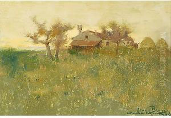 Casolare In Campagna Oil Painting by Italico Brass