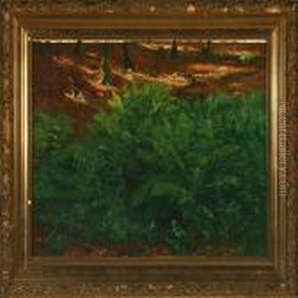 Forest Floor In Thesun Oil Painting by Johan Ulrik Bredsdorff