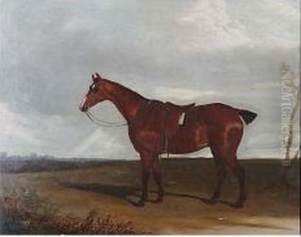 Chestnut Hunter Before A Landscape Oil Painting by Thomas W. Bretland