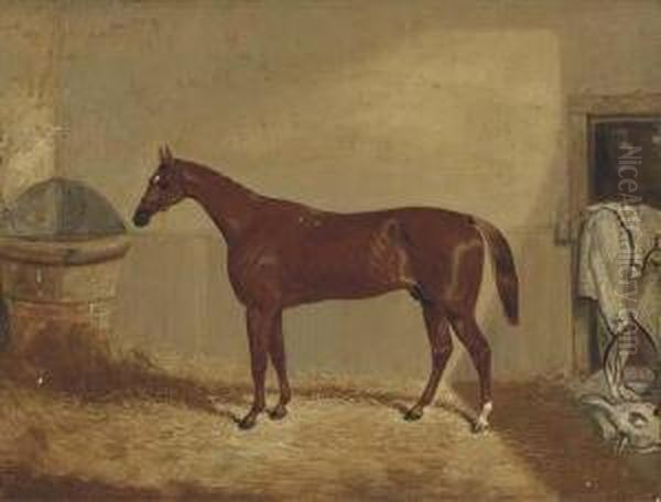 The Derby Winner 'daniel O'rourke' In A Stable Oil Painting by Thomas W. Bretland