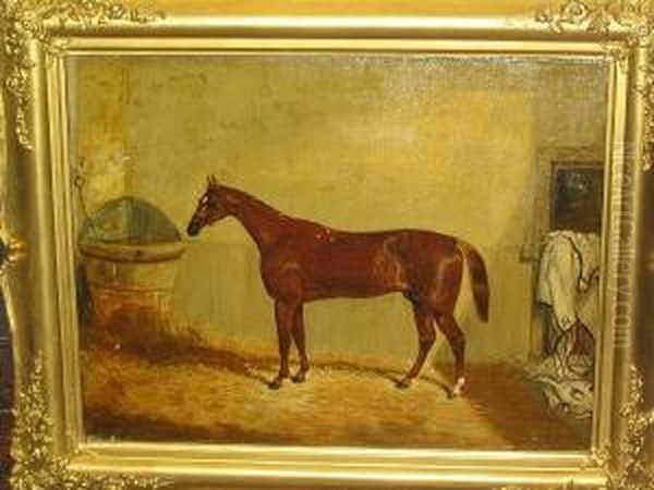 'daniel O'rourke' - A Chestnut Race Horse Oil Painting by Thomas W. Bretland